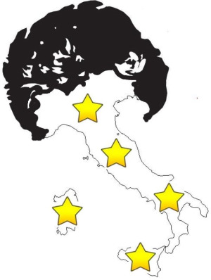 Fenomeno Grillo e Movimento 5 Stelle: meteora populista o sfida alla democrazia rappresentativa?